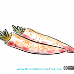 Carrots_StudioShootingStar_Illustration